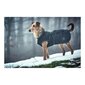 Norton 360 Uppsala švarkas šunims, juodas kaina ir informacija | Drabužiai šunims | pigu.lt