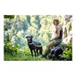 Hunter Hilo šuns pavadėlis, rudas, 200 cm kaina ir informacija | Pavadėliai šunims | pigu.lt