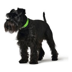 Собачий ошейник Hunter Convenience Comfort Зеленый Размер S/M (32-40 cm) цена и информация | Ошейники, подтяжки для собак | pigu.lt