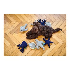 Hunter Skagen žaislas šunims, mėlynas kaina ir informacija | Žaislai šunims | pigu.lt