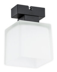 Teru lubinis šviestuvas цена и информация | Потолочные светильники | pigu.lt