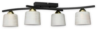 Talar lubinis šviestuvas цена и информация | Потолочные светильники | pigu.lt