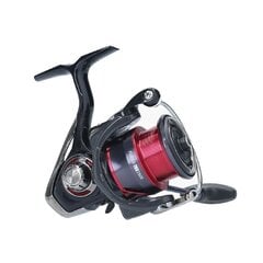 Ritė Daiwa Fuego LT1000 kaina ir informacija | Daiwa Sportas, laisvalaikis, turizmas | pigu.lt