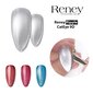 Reney Ripple Cat Eye 9D Cat Eye hibridinis lakas Nr. 01 10ml kaina ir informacija | Nagų lakai, stiprintojai | pigu.lt