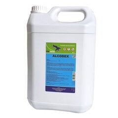 Жидкость для дезинфекции поверхностей ALCODEX, 5 л x 1 шт., упаковка цена и информация | Очистители | pigu.lt