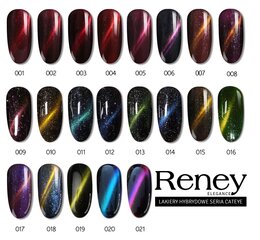 Reney Cat Eye hibridinis lakas 001 10ml kaina ir informacija | Nagų lakai, stiprintojai | pigu.lt