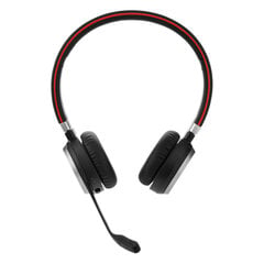 Наушники с микрофоном Jabra EVOLVE 65 SE цена и информация | Теплая повязка на уши, черная | pigu.lt