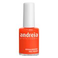 Nagų lakas Andreia nº 106, 14 ml