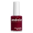 Nagų lakas Andreia Nº 102, 14 ml