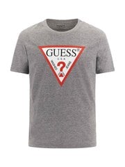 Marškinėliai vyrams Guess, pilki цена и информация | Мужские футболки | pigu.lt