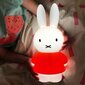 Vaikiška naktinė lempa Miffy, balta kaina ir informacija | Vaikiški šviestuvai | pigu.lt