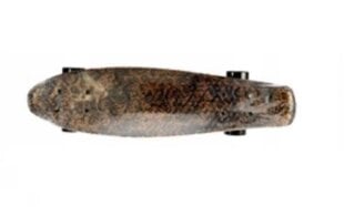 Riedlentė Fishboard Fish No.3, 60 cm kaina ir informacija | Riedlentės | pigu.lt