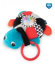 Плюшевая игрушка Canpol Babies Морская черепа, 68/070, бирюза цена и информация | Игрушки для малышей | pigu.lt