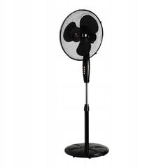 Berlinger Haus Black Rose grindų ventiliatorius juodas 40W kaina ir informacija | Ventiliatoriai | pigu.lt