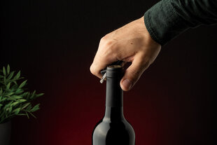 Berlinger vyno rinkinys1 4 vnt. kaina ir informacija | Virtuvės įrankiai | pigu.lt