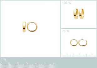 Серьги с золотым покрытием 750°, ⌀ 1.2 см, произведено во Франции цена и информация | Серьги | pigu.lt