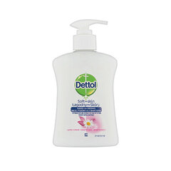 Skystas muilas Dettol Gentle Chamomile, 250 ml цена и информация | Мыло | pigu.lt