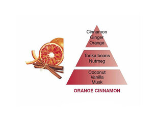 Užpildas katalizinei lempai Orange and Cinnamon Maison Berger, 500 ml kaina ir informacija | Namų kvapai | pigu.lt