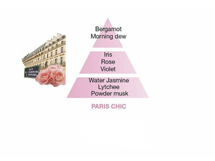 Katalizinės lempos papildymas Maison Berger Paris Chic Paris, 500 ml kaina ir informacija | Namų kvapai | pigu.lt