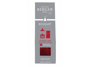 Namų kvapas su lazdelėmis Maison Berger Paris Reed Diffuser Cube, 125ml kaina ir informacija | Namų kvapai | pigu.lt