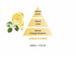 Namų kvapo papildymas Maison Berger Paris Bouquet Refill Lemon Flower, 200ml kaina ir informacija | Namų kvapai | pigu.lt