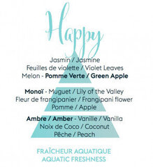 Difuzoriaus papildymas Maison Berger Paris Aroma Happy Fraicheur Aquatique vandens gaivumas, 200 ml kaina ir informacija | Namų kvapai | pigu.lt