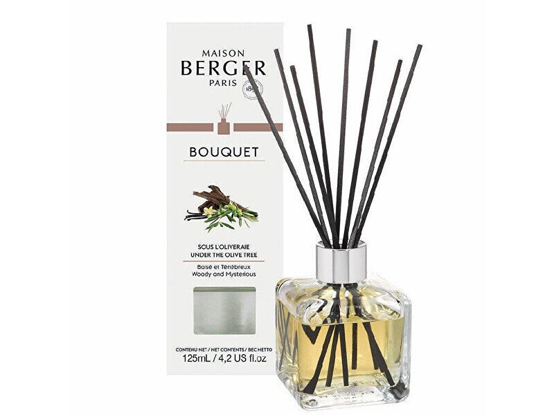 Namų kvapas su lazdelėmis Maison Berger Paris Cube Scented Bouquet Under The Olive Tree kaina ir informacija | Namų kvapai | pigu.lt