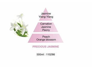 Difuzoriaus papildymas Maison Berger Paris Precious Jasmine, 400 ml kaina ir informacija | Namų kvapai | pigu.lt