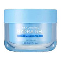 Hialurono drėkinamasis gelio kremas Holika Holika Hydra Gel, 100 ml цена и информация | Кремы для лица | pigu.lt