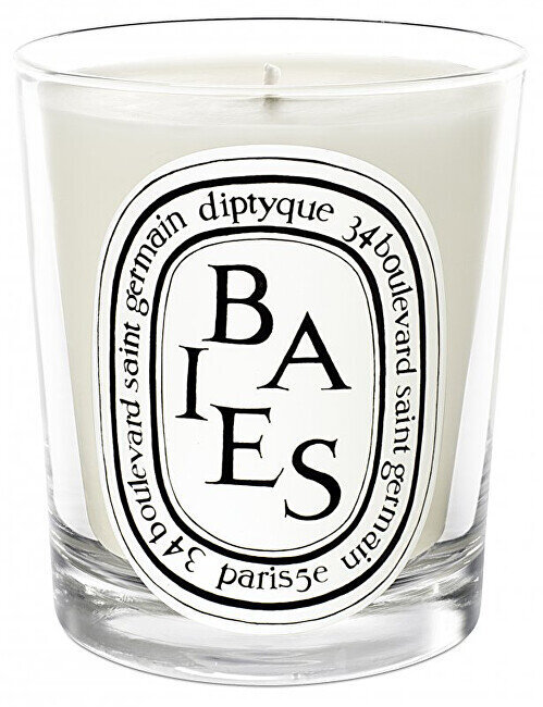 Kvapioji žvakė Diptyque Baies Candle, 190 g цена и информация | Žvakės, Žvakidės | pigu.lt