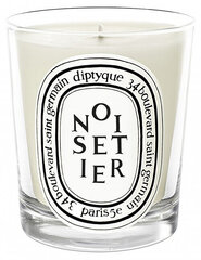 Ароматическая свеча Diptyque Noisetier, 190 г цена и информация | Подсвечники, свечи | pigu.lt