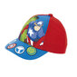 Kepurė The Avengers Infinity S4306764 kaina ir informacija | Kepurės, pirštinės, šalikai berniukams | pigu.lt