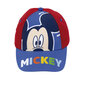 Kepurė vaikams Mickey Mouse Happy smiles, mėlyna kaina ir informacija | Kepurės, pirštinės, šalikai berniukams | pigu.lt