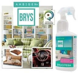 Средство для удаления запаха AMBIGEN BRYS 750ML цена и информация | Ароматы для дома | pigu.lt
