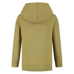 Džemperis champion legacy hooded sweatshirt 305903gs092 цена и информация | Свитеры, жилетки, пиджаки для мальчиков | pigu.lt
