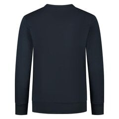 Džemperis champion legacy crewneck sweatshirt 305905bs501 kaina ir informacija | Megztiniai, bluzonai, švarkai berniukams | pigu.lt