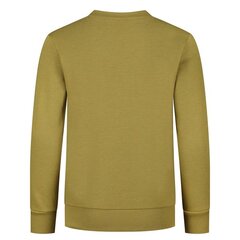 Džemperis champion legacy crewneck sweatshirt 305905gs092 kaina ir informacija | Megztiniai, bluzonai, švarkai berniukams | pigu.lt