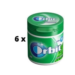 Жевательная резинка ORBIT Spearmint Canister, 84 г x 6 шт. цена и информация | Сладости | pigu.lt