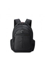 Рюкзак Delsey Element Backpacks 15.6 Flier цена и информация | Рюкзаки, сумки, чехлы для компьютеров | pigu.lt