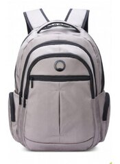 Kuprinė Delsey ELEMENT BACKPACKS 15.6 kaina ir informacija | Krepšiai, kuprinės, dėklai kompiuteriams | pigu.lt