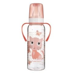 Детская бутылочка с ручкой Canpol Babies, Милые животные 11/845, 250 мл цена и информация | Бутылочки и аксессуары | pigu.lt