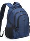 Kuprinė Delsey NAVIGATOR ELEMENT BACKPACKS 15.6 kaina ir informacija | Krepšiai, kuprinės, dėklai kompiuteriams | pigu.lt