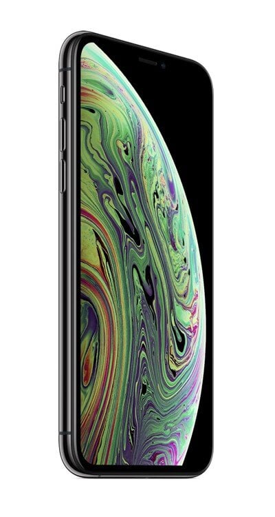 Apple iPhone XS 14.7 cm (5.8") Dual SIM iOS 12 4G 64 GB Grey Remade/Refurbished цена и информация | Mobilieji telefonai | pigu.lt