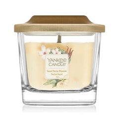 Yankee Candle kvapioji žvakė Sweet Nectar Blossom 96 g kaina ir informacija | Žvakės, Žvakidės | pigu.lt