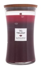 WoodWick ароматическая свеча Ripened Berries 609.5 г цена и информация | Подсвечники, свечи | pigu.lt