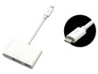 USB - USB-C 3.1 - VGA kaina ir informacija | Adapteriai, USB šakotuvai | pigu.lt