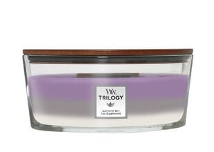 WoodWick kvapioji žvakė Amethyst Sky, 453,6 g kaina ir informacija | Žvakės, Žvakidės | pigu.lt