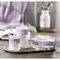 WoodWick kvapioji žvakė Trilogy Amethyst Sky, 275 g kaina ir informacija | Žvakės, Žvakidės | pigu.lt