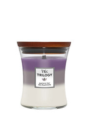 WoodWick kvapioji žvakė Trilogy Amethyst Sky, 275 g kaina ir informacija | Žvakės, Žvakidės | pigu.lt