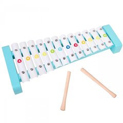 Деревянный ксилофон, 12 тонов цена и информация | Развивающие игрушки | pigu.lt